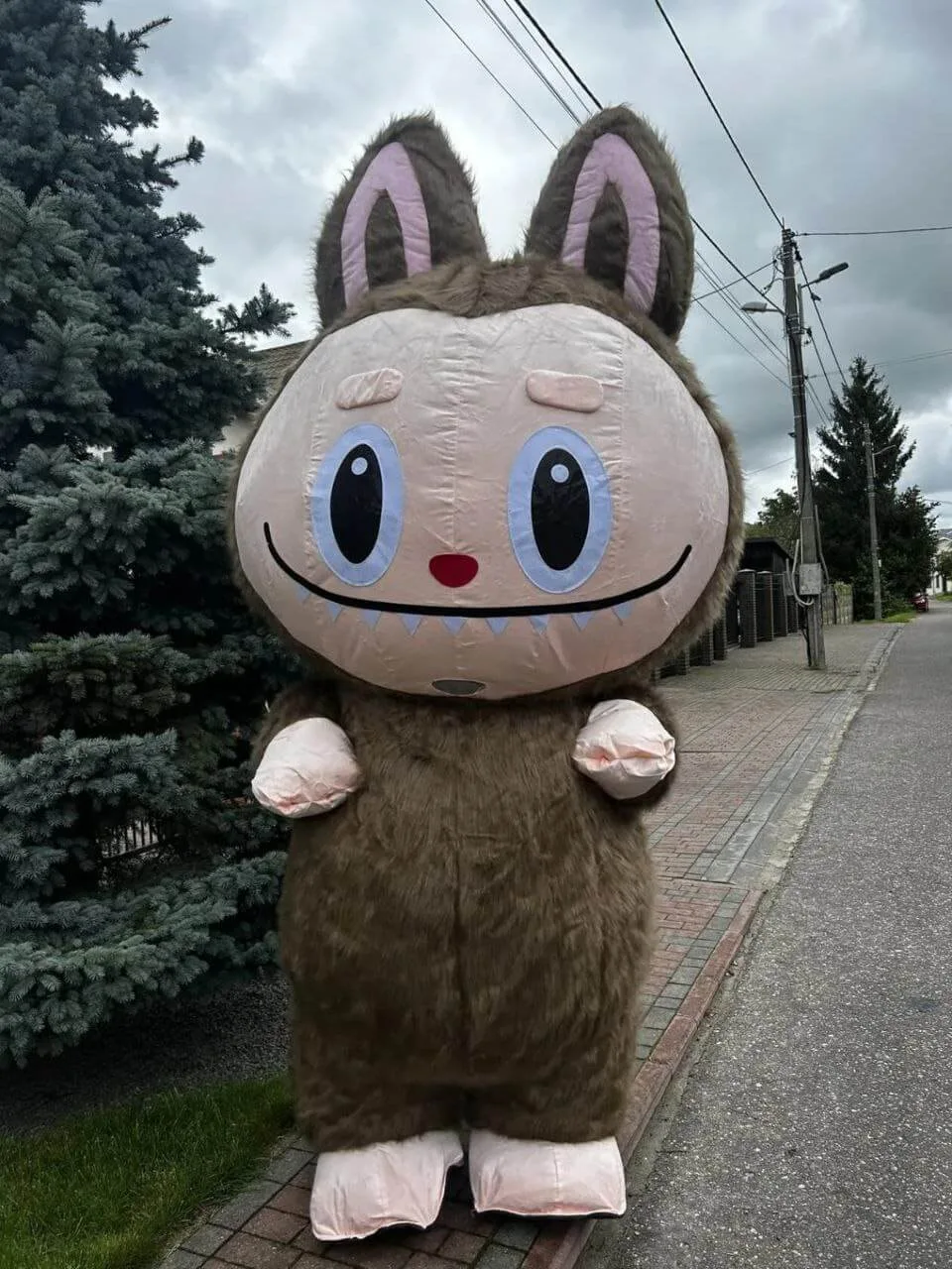 Ростовой Лабубу